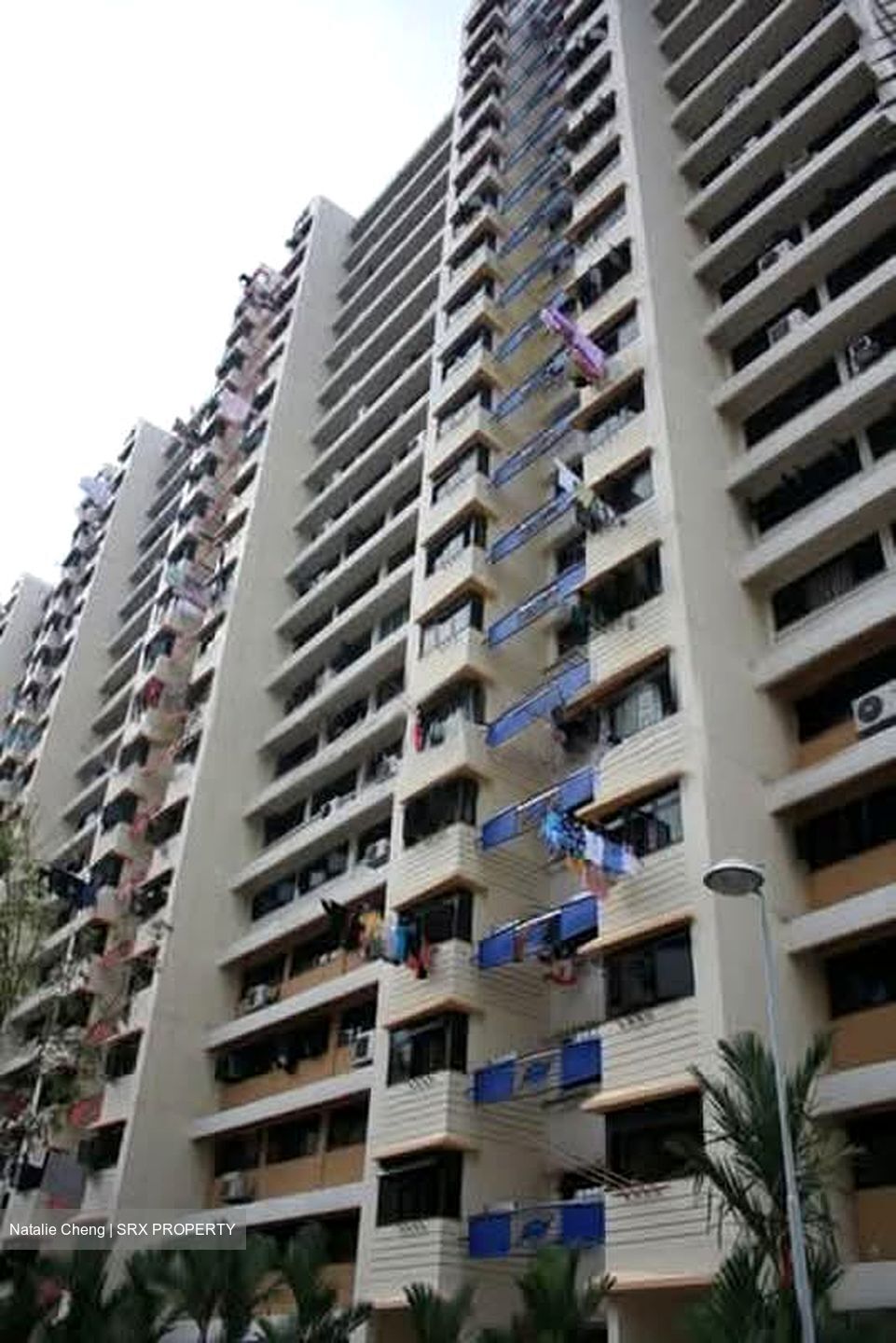 Blk 204 Toa Payoh Spring (Toa Payoh), HDB 4 Rooms #566423161
